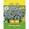 FLORASELF® Bosvergeet-mij-niet Myosotis Sylvatica Bloemenzaden 2 FLORASELF® Bosvergeet-mij-niet Myosotis Sylvatica Bloemenzaden -FLORASELF Verkoop DV 8 7122999 01 4c AT 20190410160921