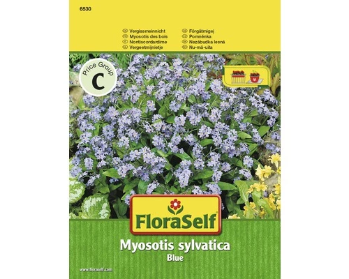 FLORASELF® Bosvergeet-mij-niet Myosotis Sylvatica Bloemenzaden 3 FLORASELF® Bosvergeet-mij-niet Myosotis Sylvatica Bloemenzaden