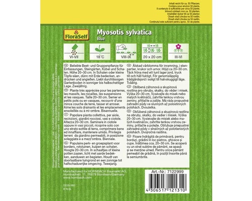FLORASELF® Bosvergeet-mij-niet Myosotis Sylvatica Bloemenzaden 4 FLORASELF® Bosvergeet-mij-niet Myosotis Sylvatica Bloemenzaden - Afbeelding 2