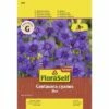 FLORASELF® Wilde Korenbloem Blauw Centaurea Cyanus Bloemenzaden -FLORASELF Verkoop DV 8 7123012 01 4c AT 20180105104005
