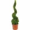 FLORASELF® Buxus Boom Spiraal Sempervirens 88-102 Cm -FLORASELF Verkoop DV 8 7190414 01 4c DE 20160213183854