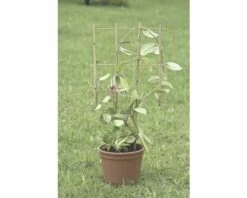 FLORASELF® Plantenhouder Kunststof, 77 X 36 Cm