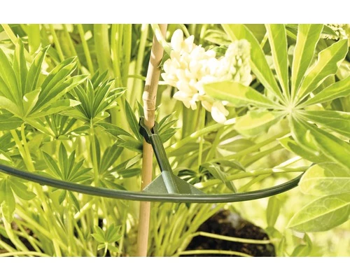 FLORASELF® Plantenhouder Vario Ø 25 - 40 Cm, 3 St 5 FLORASELF® Plantenhouder Vario Ø 25 - 40 Cm, 3 St - Afbeelding 3