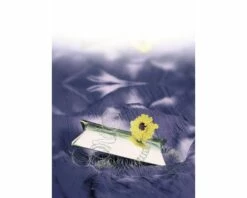 FLORASELF® Binddraad, Verzinkt, Ø 2,0 Mm X 50 M -FLORASELF Verkoop DV 8 7531940 01 4c DE 20160421105711