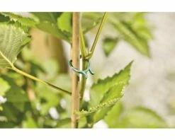 FLORASELF® Planten Bindclips, 50 St -FLORASELF Verkoop DV 8 7531967 03 4c DE 20181217210201