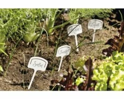FLORASELF Plantenlabels 15 St. -FLORASELF Verkoop DV 8 7531971 03 4c DE 20181217211658