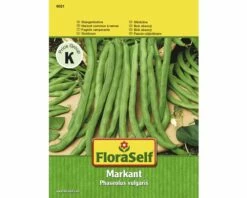 FLORASELF® Snijbonen Markant Groentezaden