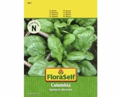 FLORASELF® Spinaze Columbia Kruidenzaad
