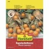 FLORASELF® Andesbes Kaapse Kruisbes Groentezaden -FLORASELF Verkoop DV 8 8074162 03 4c AT 20180405120625