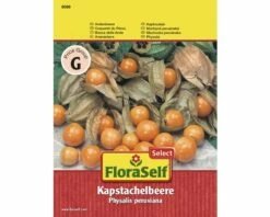 FLORASELF® Andesbes Kaapse Kruisbes Groentezaden