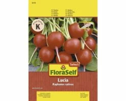 FLORASELF® Radijs Lucia Zaadband Groentezaden
