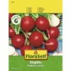 FLORASELF® Radijs Stoplite Groentezaden -FLORASELF Verkoop DV 8 8074188 02 4c AT 20230104141756