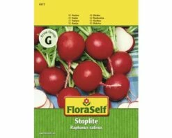 FLORASELF® Radijs Stoplite Groentezaden
