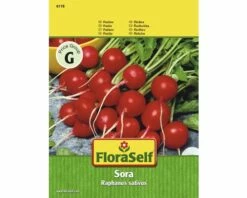 FLORASELF® Radijs Sora Groentezaden