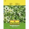 FLORASELF® Bosknoflook Allium Ursinum Groentezaden 1 FLORASELF® Bosknoflook Allium Ursinum Groentezaden -FLORASELF Verkoop DV 8 8074195 02 4c AT 20230104141756