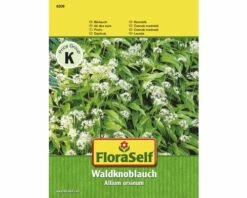 FLORASELF® Bosknoflook Allium Ursinum Groentezaden