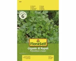 FLORASELF® Peterselie Gigante Di Napoli Kruidenzaden