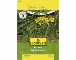 FLORASELF® Rucola Slazaden