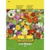 FLORASELF® Last Minute Mengsel Bloemenzaden -FLORASELF Verkoop DV 8 8074208 02 4c AT 20221213154651