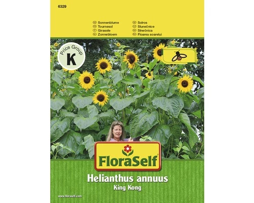 FLORASELF® Zonnebloemen King Kong Helianthus Annuus Bloemenzaden 3 FLORASELF® Zonnebloemen King Kong Helianthus Annuus Bloemenzaden