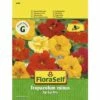 FLORASELF® Oost-Indische Kers Tip Top Mix Tropaeolum Minus Bloemenzaden -FLORASELF Verkoop DV 8 8074223 01 4c AT 20190411092050