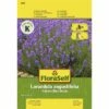 FLORASELF® Lavendel Hidcote Blue Strain Lavandula Angustifolia Bloemenzaden 2 FLORASELF® Lavendel Hidcote Blue Strain Lavandula Angustifolia Bloemenzaden -FLORASELF Verkoop DV 8 8074231 01 4c AT 20180105102556