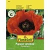 FLORASELF® Klaproos Olympisch Vuur Papaver Bloemenzaden -FLORASELF Verkoop DV 8 8074232 01 4c AT 20190411093701