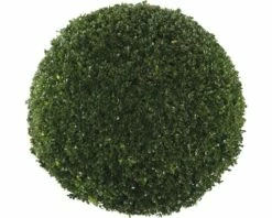 FLORASELF® Buxus Bol Sempervirens 58-65 Cm -FLORASELF Verkoop DV 8 8117251 01 4c DE 20160213191242