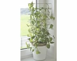 FLORASELF® Plantenhouder Metaal, 44 X 24 Cm