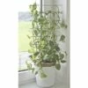 FLORASELF® Plantenhouder Metaal, 77 X 34 Cm -FLORASELF Verkoop DV 8 8410867 01 4c DE 20150107180758