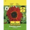 FLORASELF® Zonnebloemen Velvet Queen Helianthus Annuus Bloemenzaden -FLORASELF Verkoop DV 8 8488974 01 4c AT 20190417091919