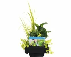 FLORASELF® Mand Ø 18 Cm Met Drijfring 24,5 X 24,5 Cm Met 3 Planten -FLORASELF Verkoop DV 8 8566663 03 4c DE 20210706104758