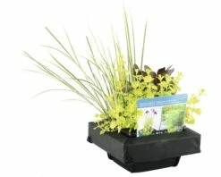 FLORASELF® Mand Ø 18 Cm Met Drijfring 24,5 X 24,5 Cm Met 3 Planten -FLORASELF Verkoop DV 8 8566663 04 4c DE 20210706104758