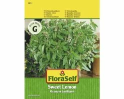 FLORASELF® Groentenzaden Basilicum Citr. Sweet Lemon