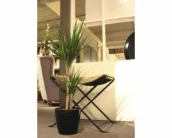 FLORASELF® Kamerplant Dracaena Magrinata Potmaat Ø 17 Cm 9 FLORASELF® Kamerplant Dracaena Magrinata Potmaat Ø 17 Cm -FLORASELF Verkoop DV 8 8712098 04 4c DE 20210107121752