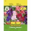 FLORASELF® Lathyurus Reuker Mix Bloemenzaden -FLORASELF Verkoop DV 8 8872806 01 4c AT 20190411093920